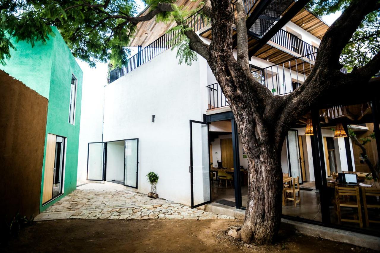 Hotel Con Corazon Oaxaca المظهر الخارجي الصورة