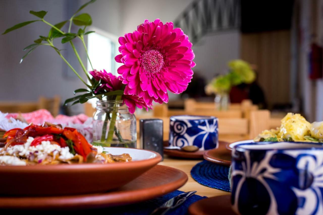 Hotel Con Corazon Oaxaca المظهر الخارجي الصورة